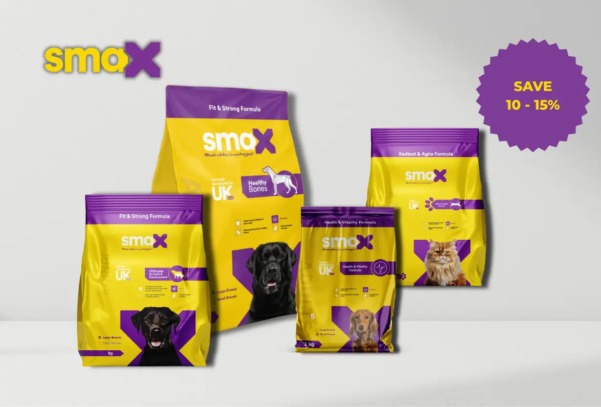 smaX-Value-Bundles smaXEgypt