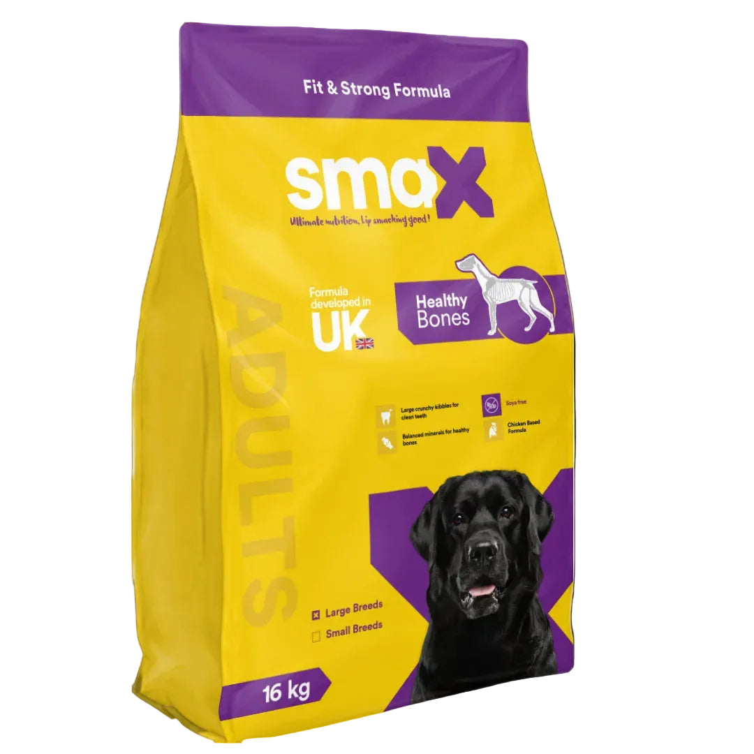 Adult Dogs Big Bite + Little Bite Bundle smaXEgypt